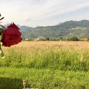  Affittacamere La Marinella
